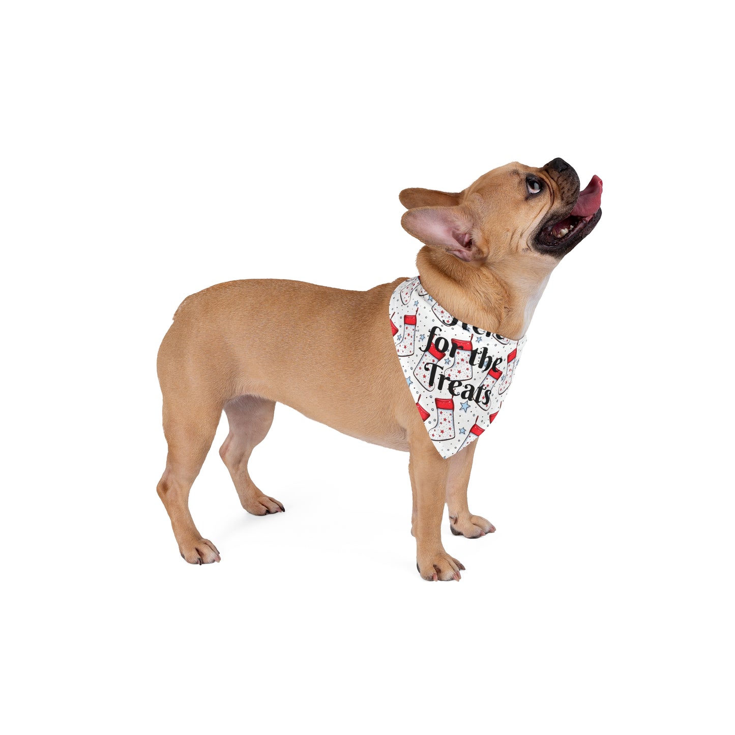 Pet Bandana — “Here for the Treats” Christmas Stocking Print Dog Bandana